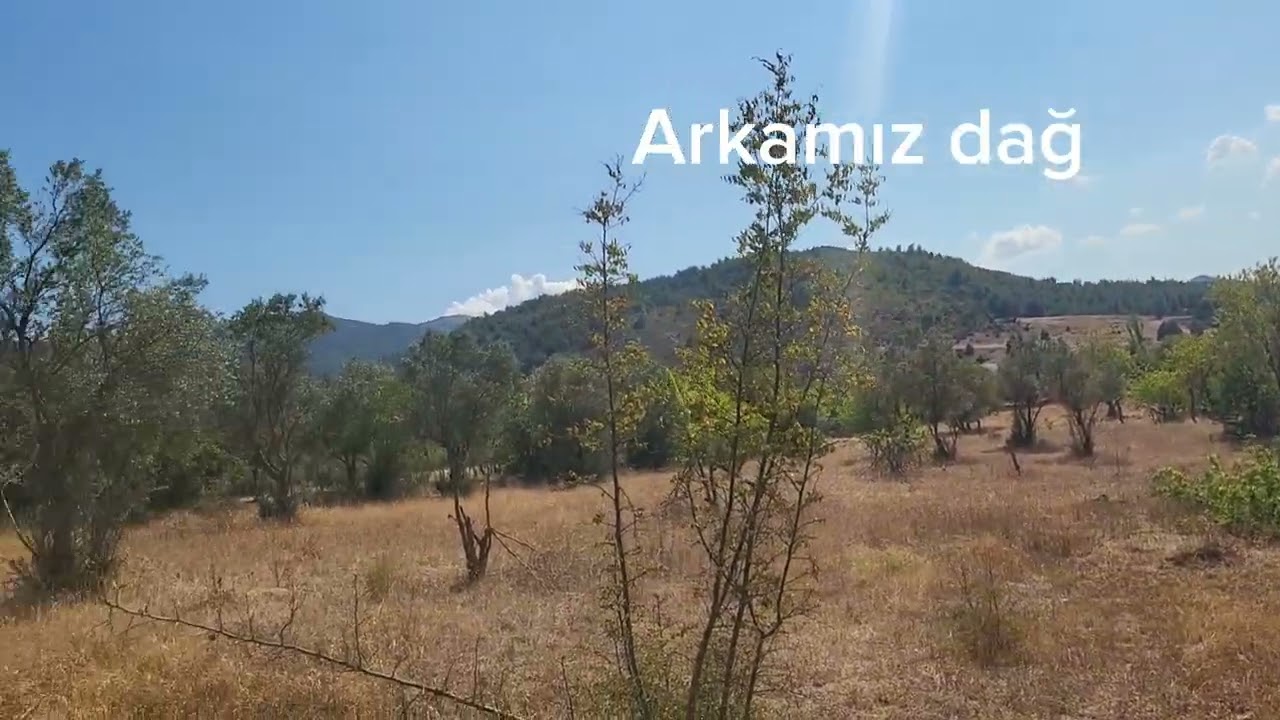 Sakarya Geyve Bozören köyünde göle nazır, arkası dağ, yanı orman, köye elektrik suya 120m üzüm bağı.