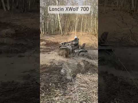 Новый квадроцикл Loncin