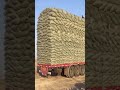 Overloaded truck new short