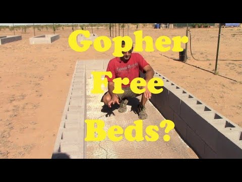 Protecting Raised Garden Beds From Gophers & Prairie Dogs