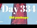 Everyday is a push-ups day | challenge no 334 |