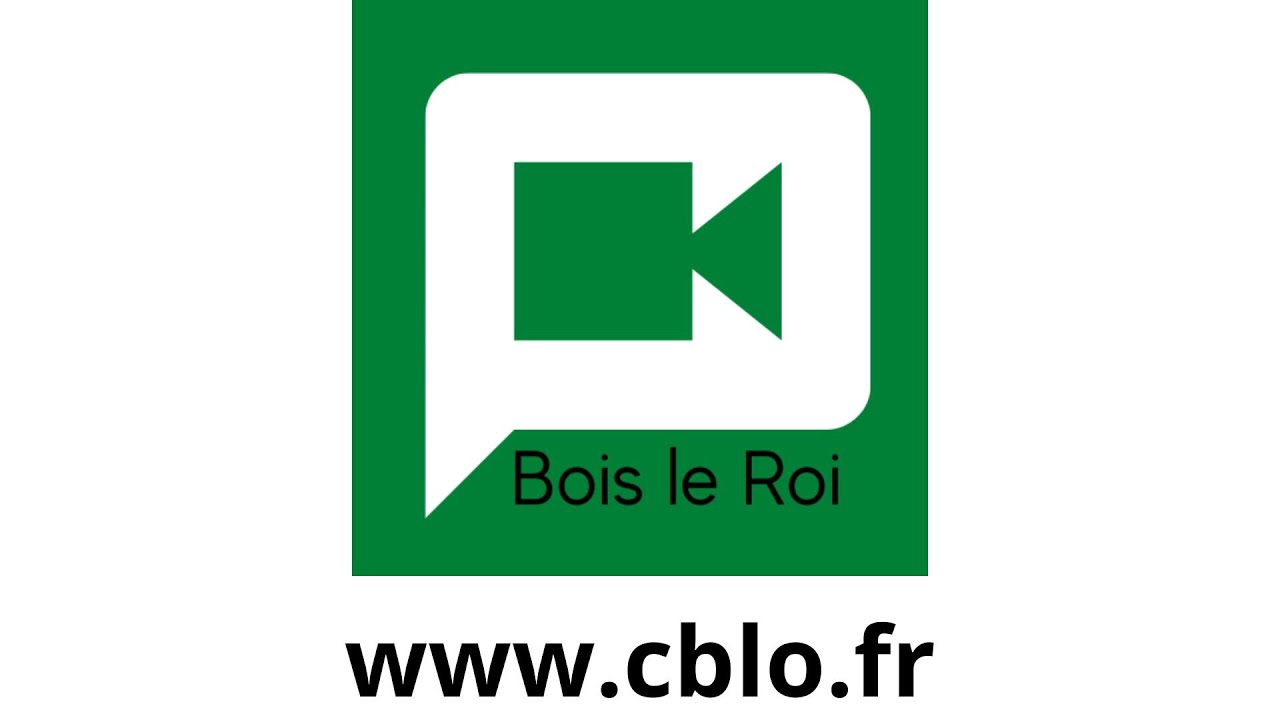 Présentation de Bois le Roi