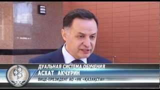 Дуальная система обучения Дуальная система обучения
