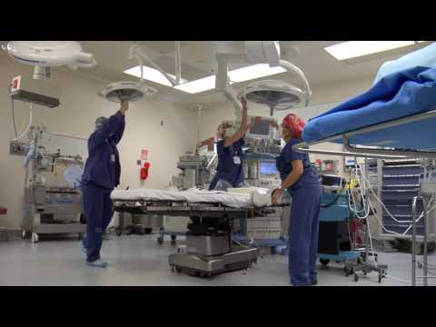 Rn Coordinator Jobssupport And Help Detail