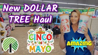Another AMAZING DOLLAR TREE Haul!! Happy Cinco De Mayo!