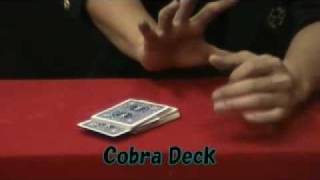 Cobra Deck by Kikuchi / SEO MAGIC USA