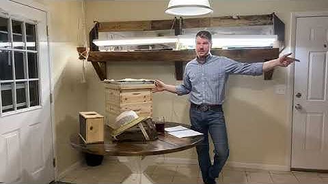 Beekeeping 101 Crash Course: Introduction