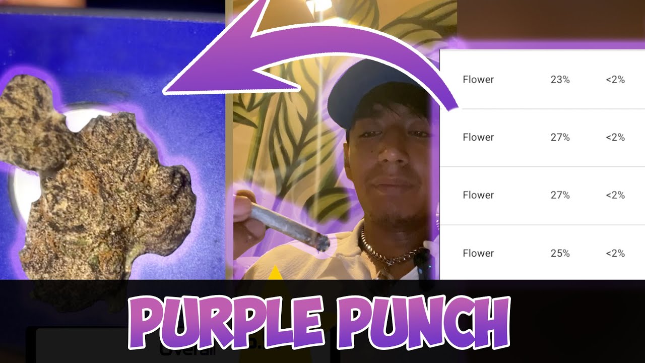 Purple Punch (ES) Hasher Club Review 