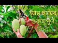 আম চাষের গুরুত্বপূর্ণ বিষয় | আম চাষ | Mango Cultivation | কৃষিকথা