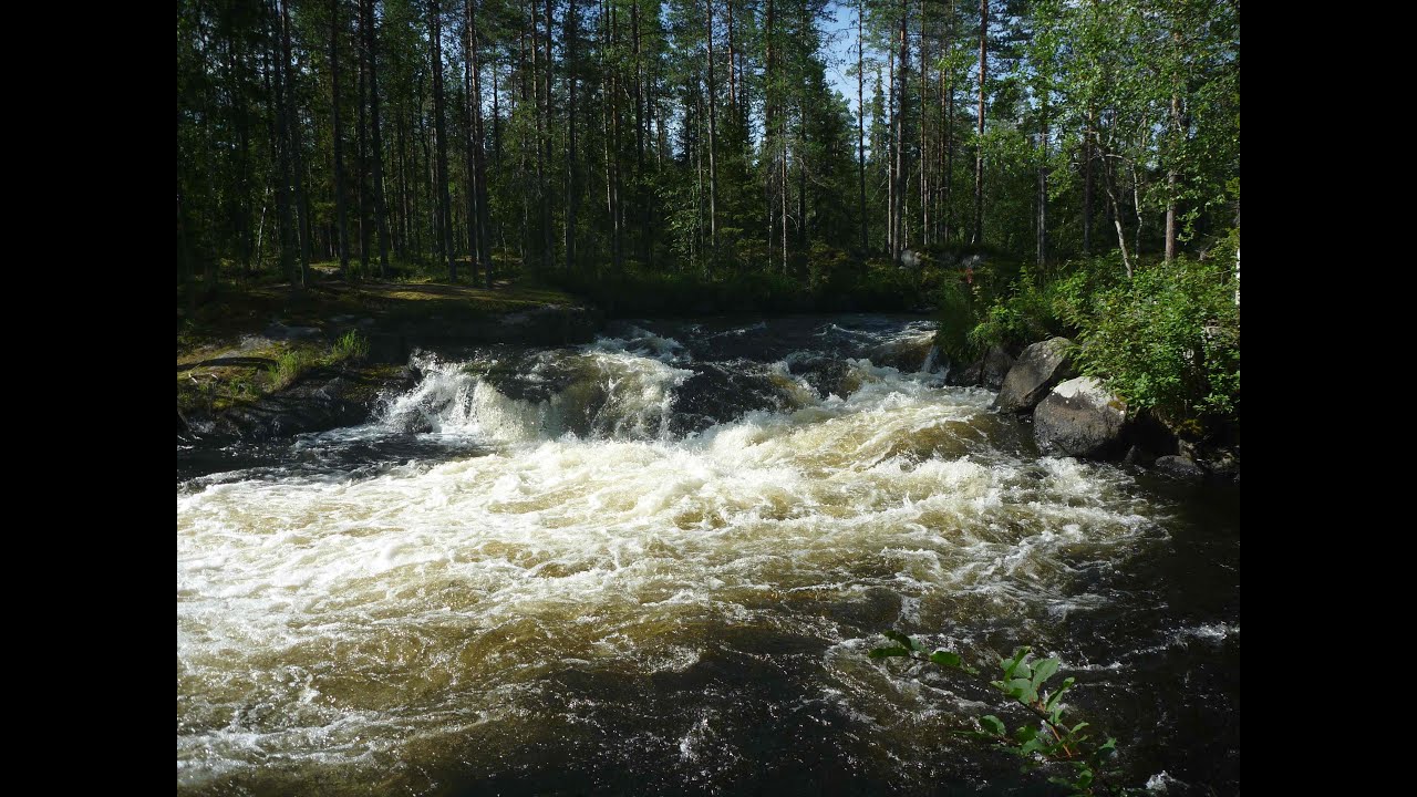 Река Пистайоки, второй день похода, порог ПАДУН, 4 к.с. - YouTube
