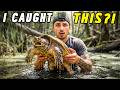 I Went Into the Wild and Caught THIS…
