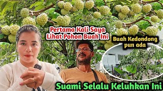 Pertama Kali Saya Lihat Pohon Buah Ini Dan Tak Pernah Makan Pun