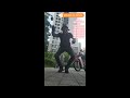 J hope free dancer