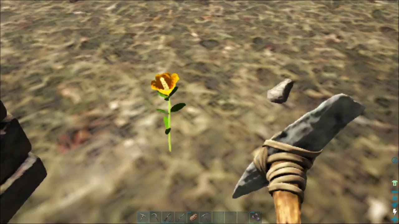 ARK!!!  with Kat, Crimson and twisted and pet dodos :)