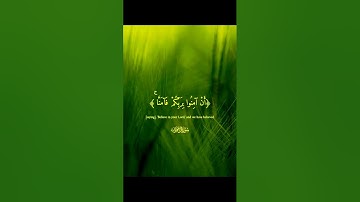 قرآن كريم #قرآن #المصحف #اكسبلور #لايك #quran