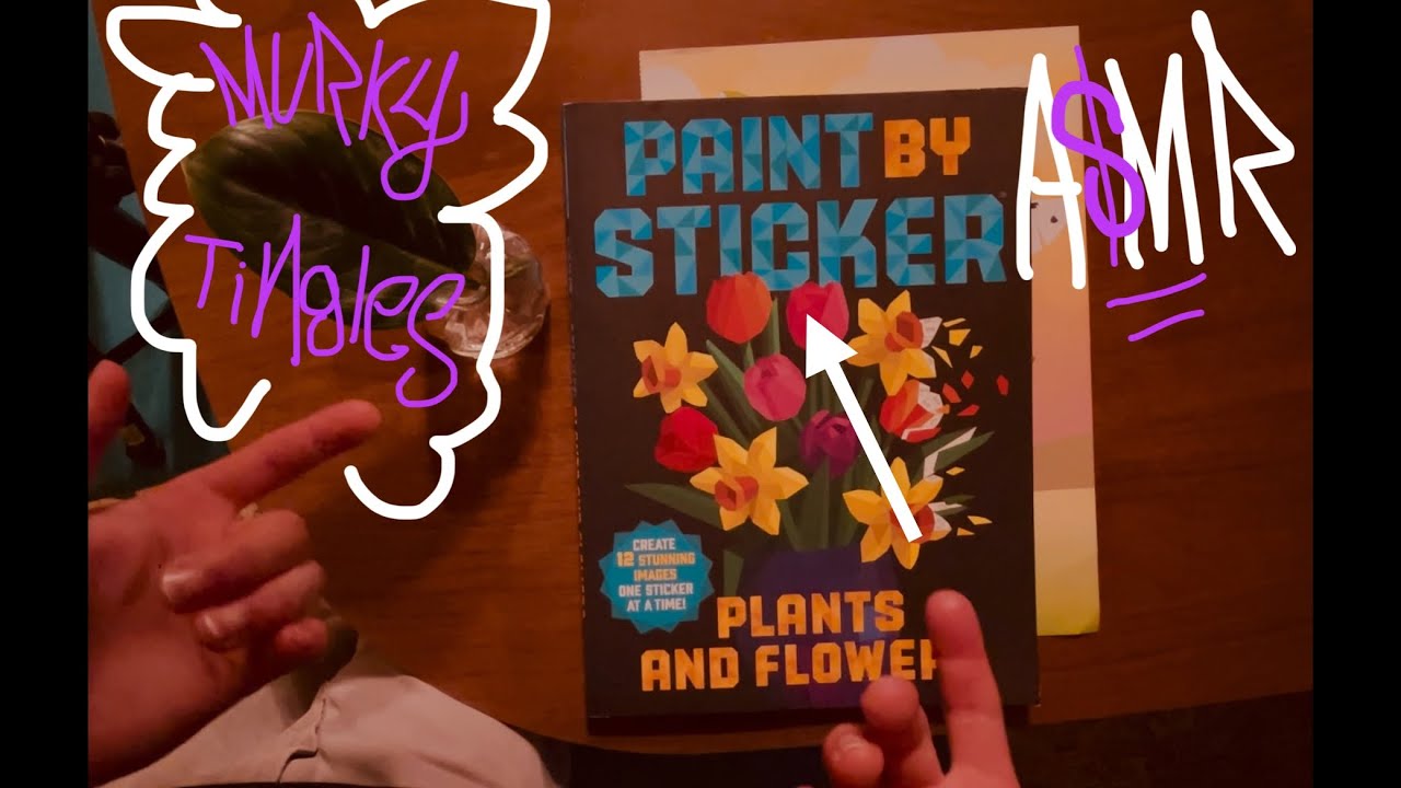 A$MR Paint by Sticker *extra challenging*