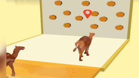 Animal Transform Gameplay Walkthrough (Android, IOS) New Update Max Levels