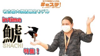 ☆名古屋大須店限定販売☆ eイヤホン intime 鯱 シャチ SHACHI