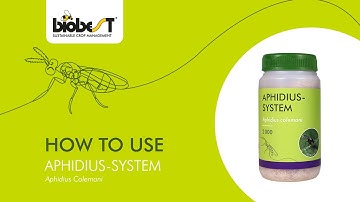 How to use Aphidius-System from Biobest