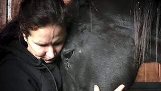 Horse Rescue Heroes | S1E1 | Full Episode