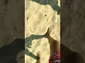 WoW | Our and Your Amazing World