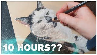 I drew a cat for the first time