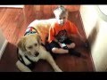 Jaxon The Autism Service Dog Helps With Meltdown