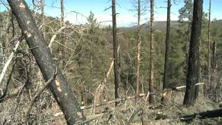 Arizona Wildfire Academy