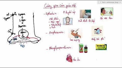 Dược Lý Các Thuốc Cường Adrenergic-Dược Tốc Biến