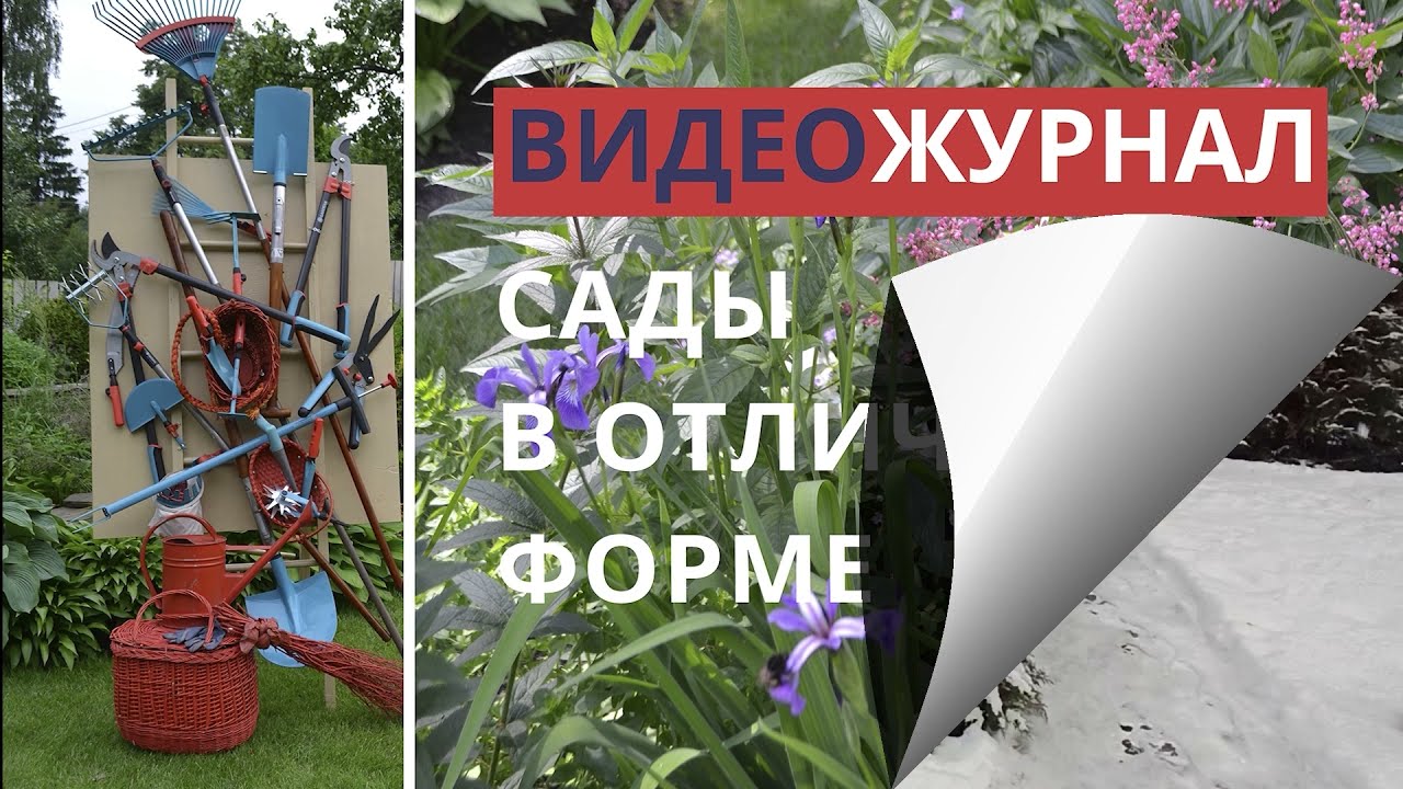 Видео журнал «Сады в отличной форме №60» Специальный, новогодний зимний выпуск.