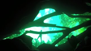 Blue Spring  (Florida) : Freediving