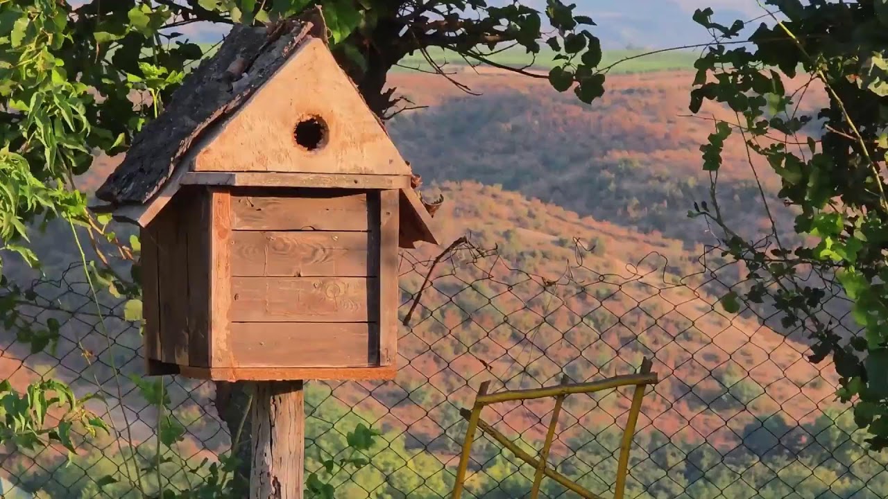 Cooking for the Whole Family Outdoors - Rural Traditions - Farm to Table