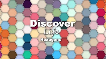 ChatGPT Generated Colorful p5.js Hexagons Animation 人工智能动画 [ by Discover Life ]