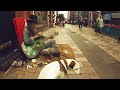 Busker in north of ireland kenny and dog joey ann street belfast victoria square 