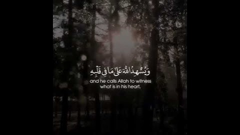 القارئ : عبدالله الموسى ، سورة : البقرة