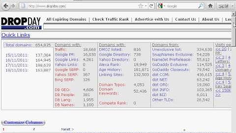 Internet Marketing Series - Video 20 -  How to Find Quality Expired Domain Names