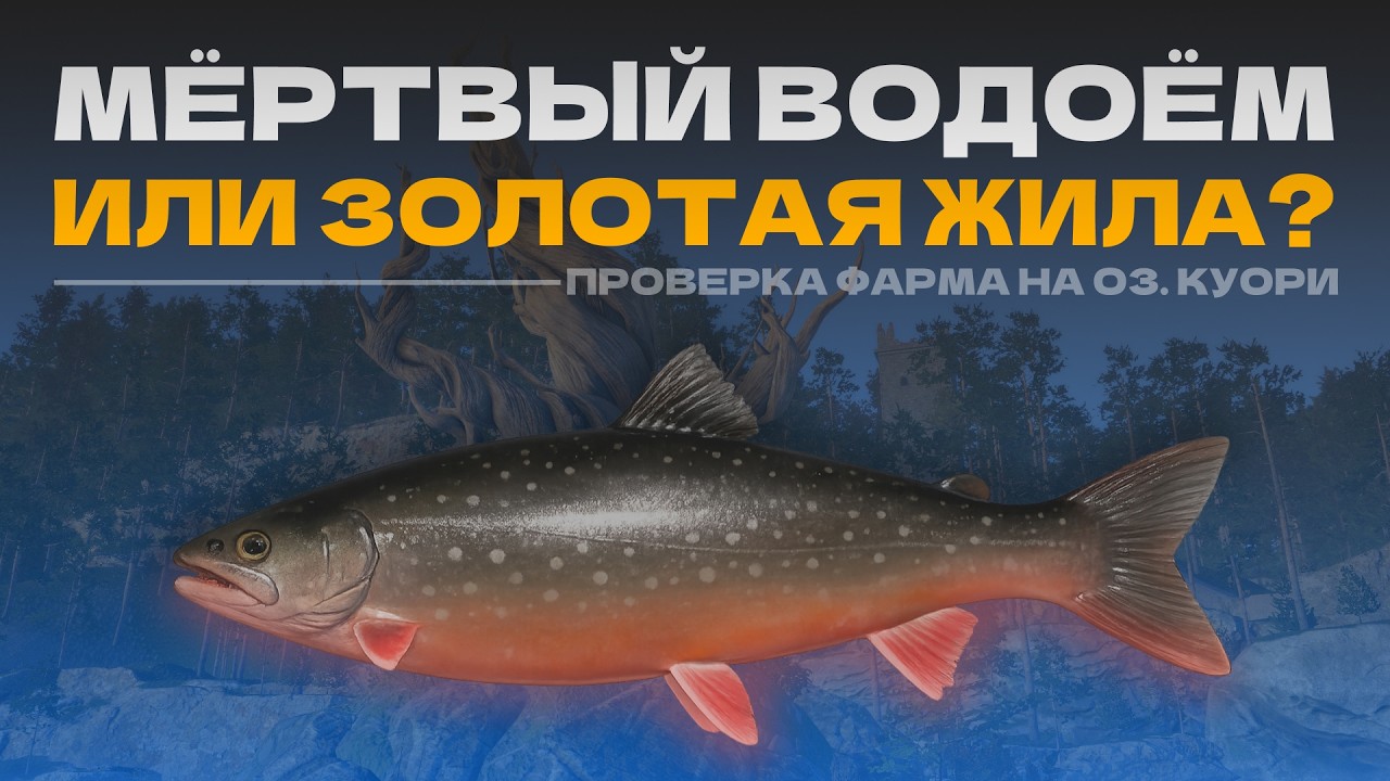 ЖИВО ЛИ КУОРИ?! ПРОВЕРЯЕМ КЛЁВ И ФАРМ НА ОЗ. КУОРИ! ТРОЛЛИНГ С ЛОДКИ НА КУОРИ И ТВИЧИНГ!