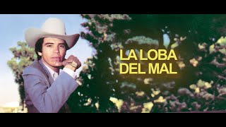 Versión 3 del video