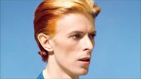 DAVID BOWIE .  FASHION