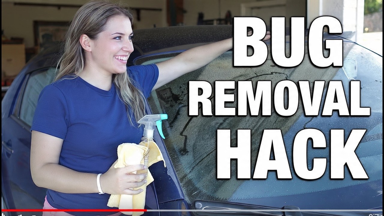 How To Get Bugs Off Your Car Windshield Fast | Easy Bug Removal Tips ...