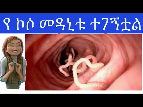 ቪዲዮ: የአፈፃፀም የውሻ ምግብ ነው?