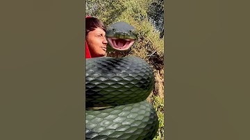 Anaconda Snake in Jungle - PART 2 🐍 #snake #shorts #python #snakes #nagin #anaconda #bigsnake