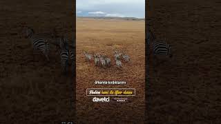 Halîm Ismi Ile Iftar Duası Çi I Ürbey