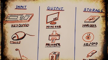 INPUT AND OUTPUT DEVICES |class 4 |part 1| by RASHMI SINHA