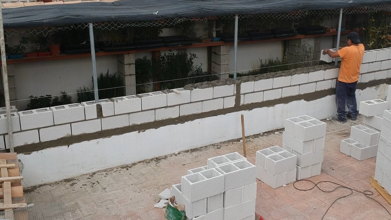 Escuela de Bonsai en obras! bonsai bosque de la armonia