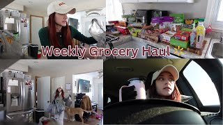 Walmart Grocery Haul| *Mostly* Organic, Family of 4, food for the week