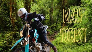 Riding Through the Rain: An Adventure in Mau Forest