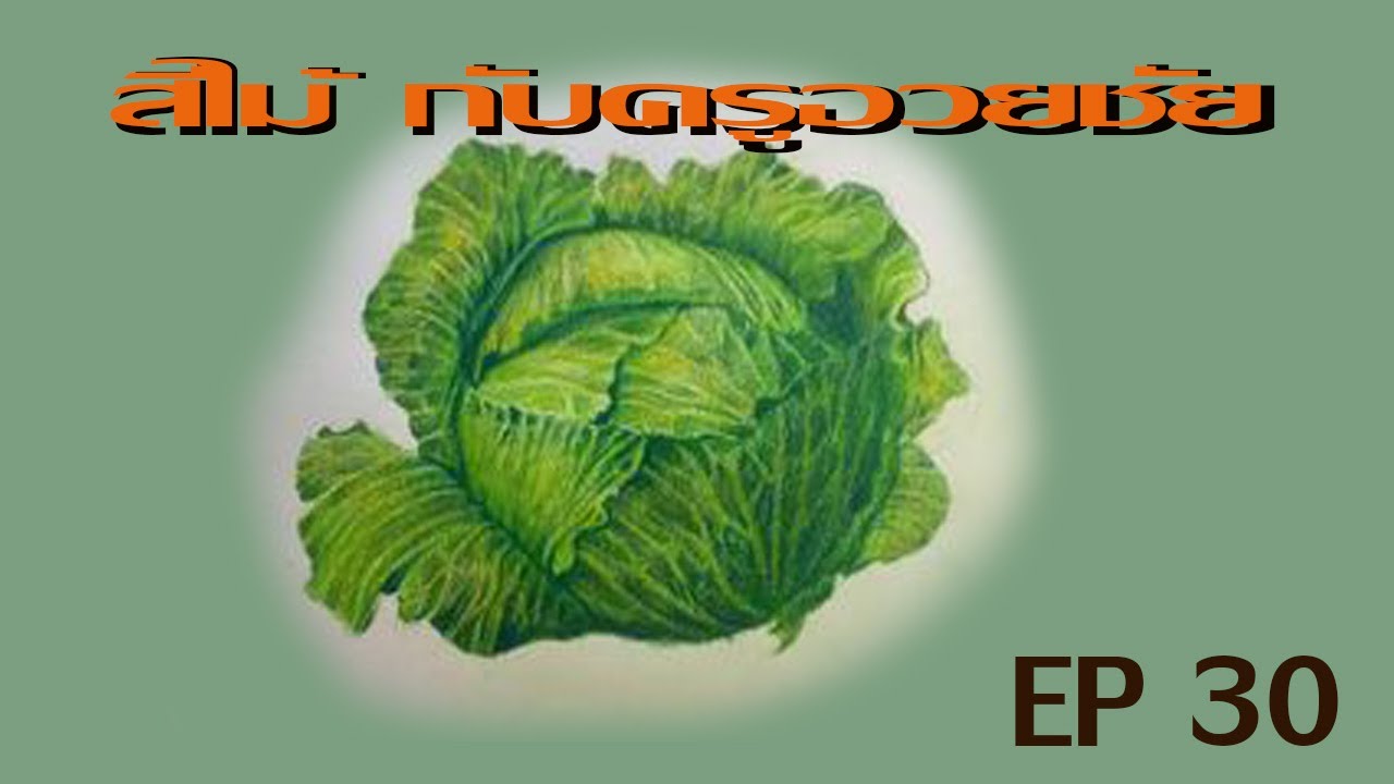 สีไม้ กับครูอวยชัย EP 30     วาดด กะหล่ำปลี