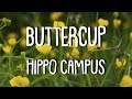 BUTTERCUP (Lyrics) || HIPPO CAMPUS
