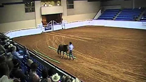 Zach Rios 2012 Supreme Extreme  Mustang Makeover Stars Finals Champion